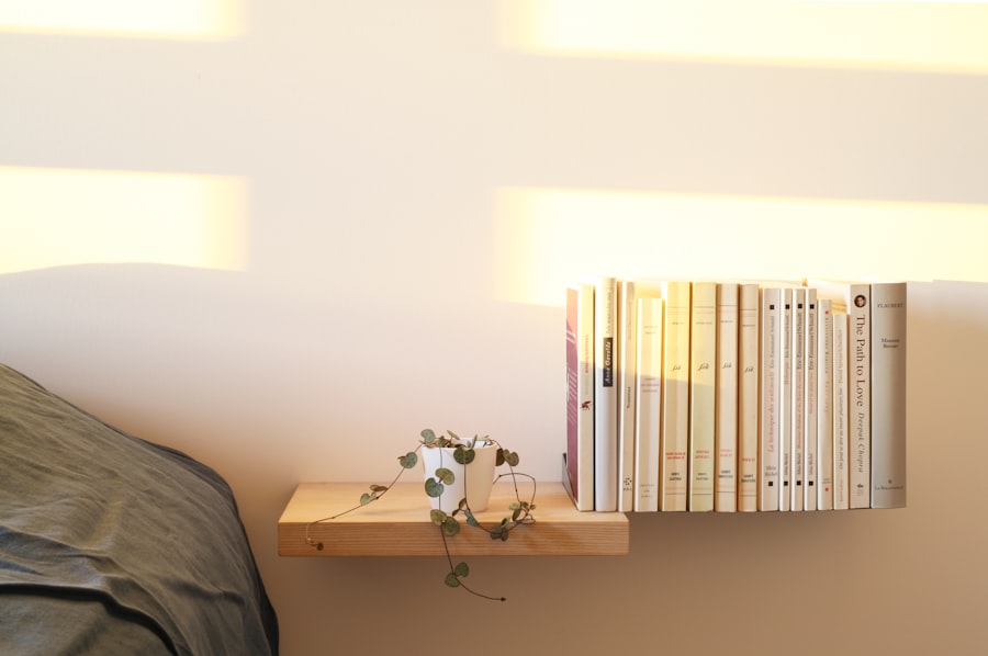 Wall-mounted shelves