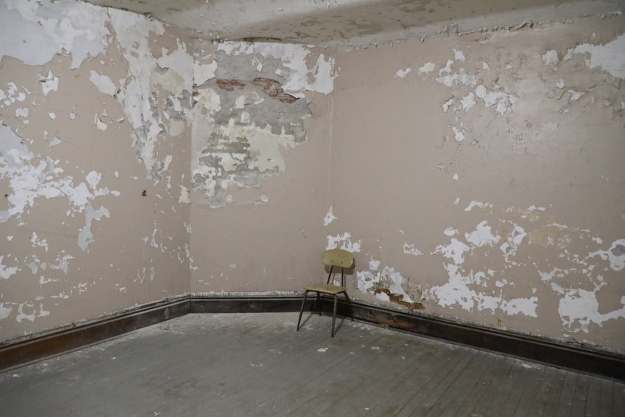 Basement Renovation