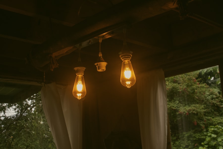 Warm Edison Bulbs