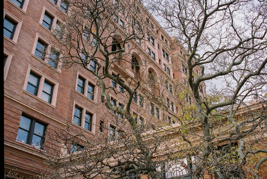 Brooklyn Basement Apartments