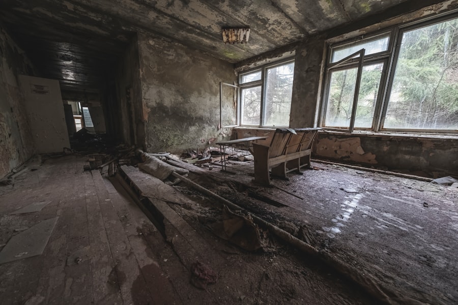 Basement Renovation