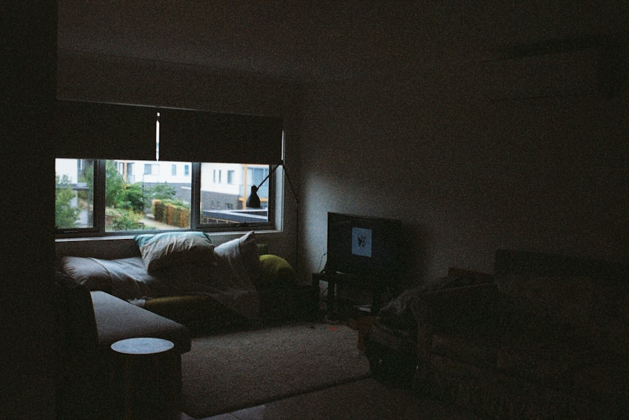 Basement Apartment Living Brooklyn