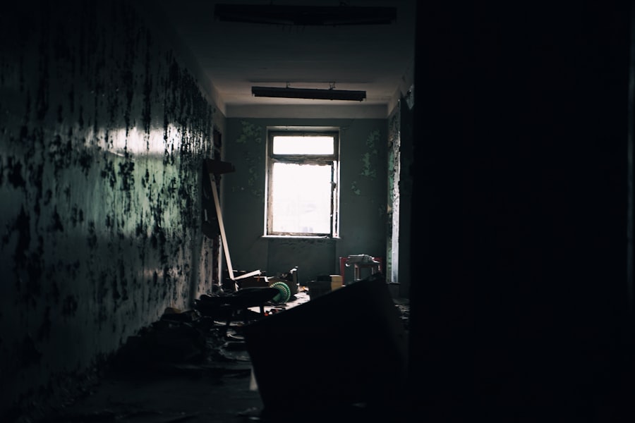 Brooklyn Basement Apartment