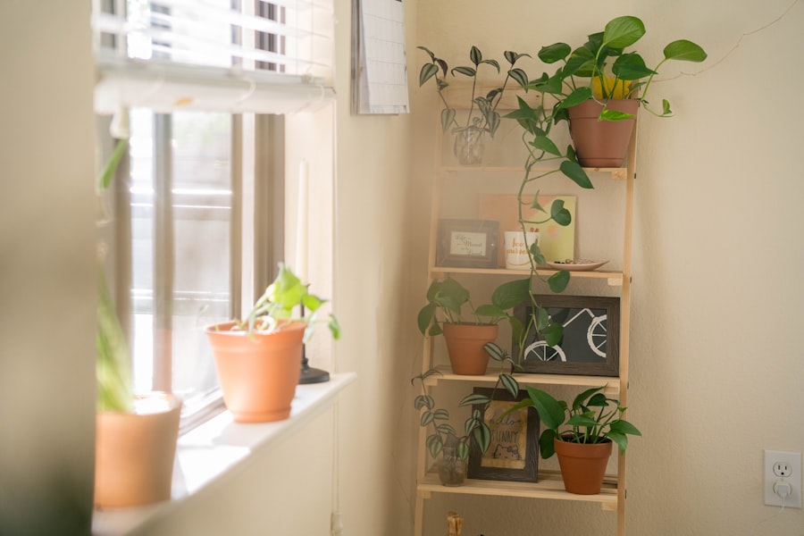 Photo Eco-Friendly Basement Apartment Ideas